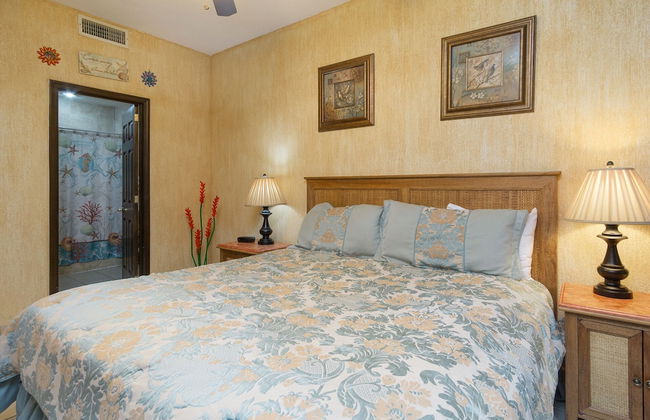 Sonoran Sea IV - Foto 35