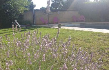 La Vigne et L'Olivier - Foto 22