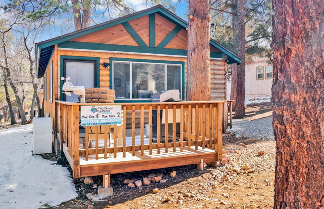 Sugar Bear Crossing #2496 - Foto 16