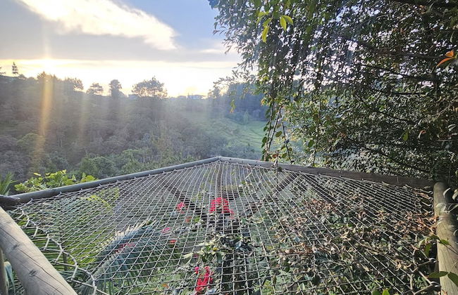 finca hotel zona 7 - Foto 44