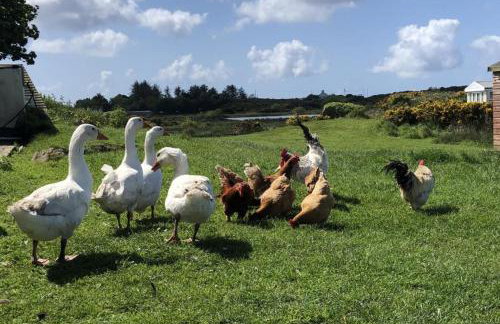 Chalet Sleeps 4 Near Cymyran Beach - Foto 10