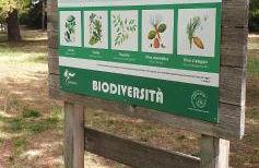 Casa Vacanze SANTAFE'- ATTICO a due passi dal Mare - PARCHEGGIO Privato - Foto 49