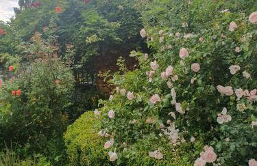 Haus Rosenbusch - Foto 11