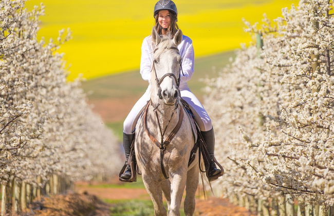 Endless Vineyards at Wildekrans Wine Estate - Photo 22