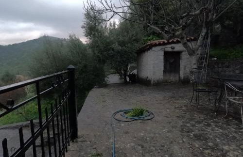 Levantes Mansion - Photo 45