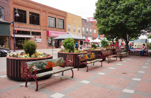 Downtown & Campus Wifi W D Netflix 2Br 1Ba - Foto 15