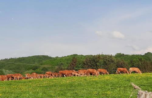 Valentinushof - Foto 18