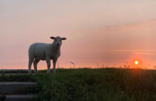 Urlaub beim Käptn! Freistehendes Premium Nordsee-Ferienhaus mit Fahrrädern, Stellplatz und Garten, 150m zur Nordsee - Foto 33