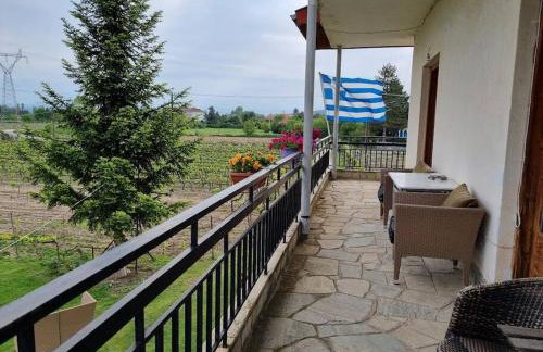 ΚΤΗΜΑ ΜΠΟΡΑΒΟΥ - Foto 20