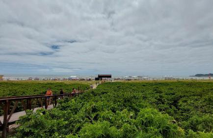 Casa Canto do Farol - Photo 41