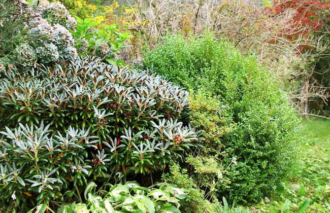 Holiday Home in Masfjordnes - Foto 28