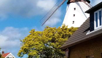 Gartenhaus in ruhiger und geschützter Südlage - Foto 4
