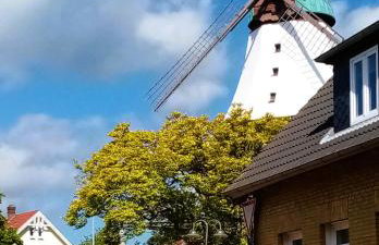 Gartenhaus in ruhiger und geschützter Südlage - Foto 4