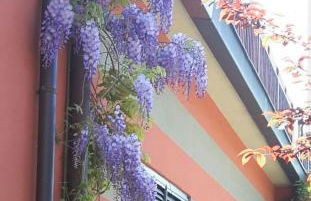 Residenza XX Settembre - Foto 3