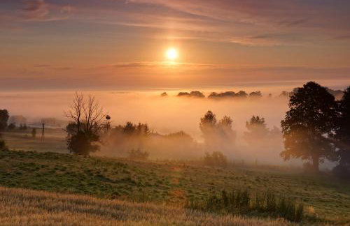 U Wileńskich - Foto 23