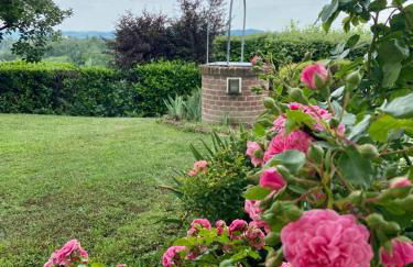 Villa Monferrina - Pool - Unesco Heritage - Photo 54