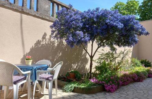 Apartment Punta - Foto 9