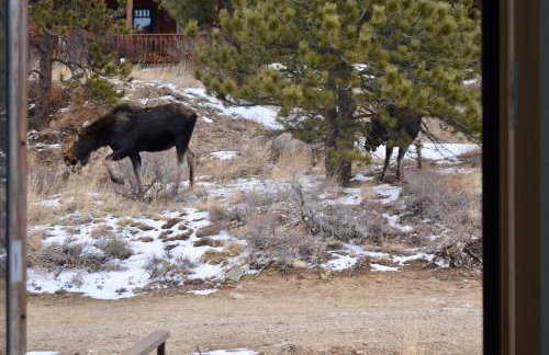 Timberline Haus Home - Foto 21