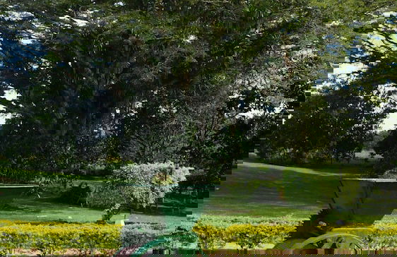 FINCA EL PÓRTAL - Photo 11