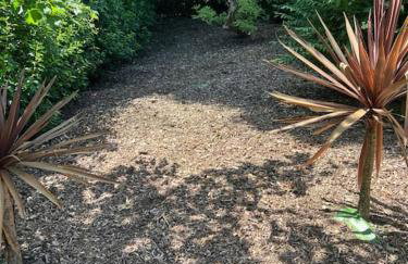 Richmond Hill Cottage Markington - Photo 25