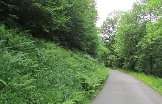 Ferienwohnung in Schiltach - Foto 16