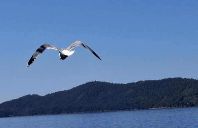 Comfortable Apartment With Balcony in a Quiet Area, Near the Beach - Foto 40