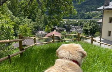 La Bombetta Gialla di Elisa e Marco - Photo 15