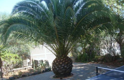 Holiday Home Villa Noir in Vulcanello by Interhome - Foto 31