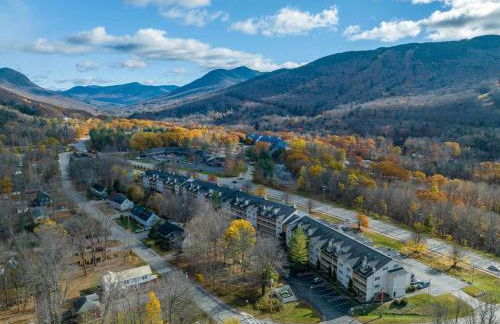 Lincoln Condo with slope view - Foto 24