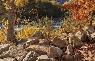 Deluxe little cabin 2 min stroll to Kern River - Foto 18