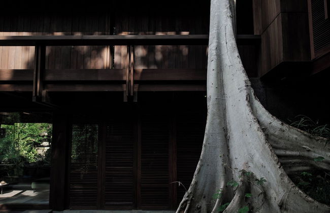 Janjisurga by Ekosistem - Photo 24