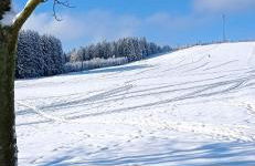 Ferienwohnung Liebscher - Foto 10