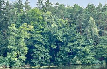 Tinyhouse Seeträumchen direkt am See mit Terrasse für 4 - Foto 36