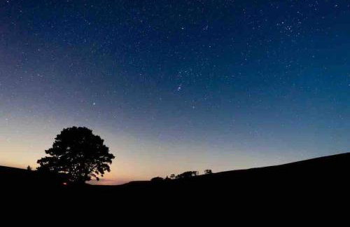 Kingsdale Head Cottage - Photo 9