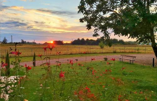 Le Cottage Duo Vigne Rouge Clim Gaillac entre Albi-Toulouse & Les Cottages du Tarn - Foto 10