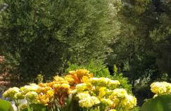 Suite MARA & Suite TEA - Foto 10