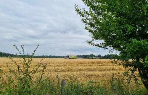 Das alte Herrenhaus auf dem Bio-Bauernhof - Foto 16