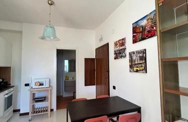 la gerbera - Foto 13