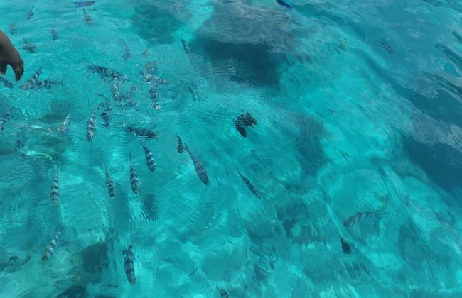 Holiday Time Bungalows Zanzibar - Foto 59