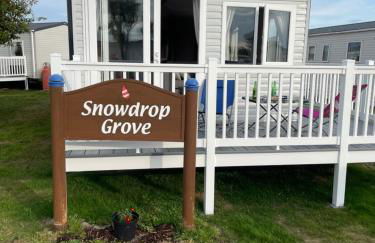 Snowdrop Caravan - Photo 1