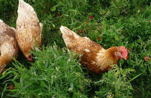 Appealing apartment with terrace - Foto 20