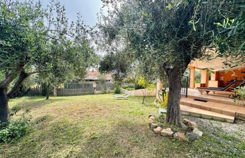 Sunrise Terrace - Foto 5