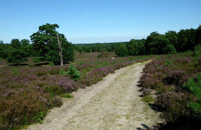 Holiday Home Hirtenkate Apartment 2 - Foto 10