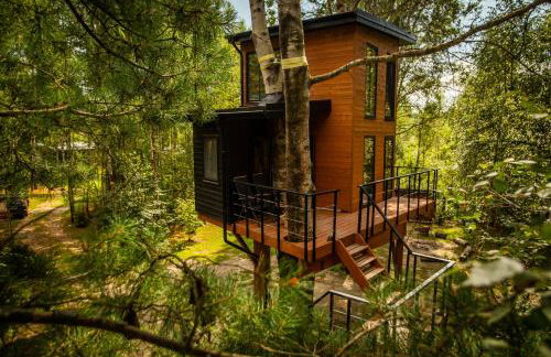 Domek na drzewie - Na Łośmiu Metrach - Foto 33