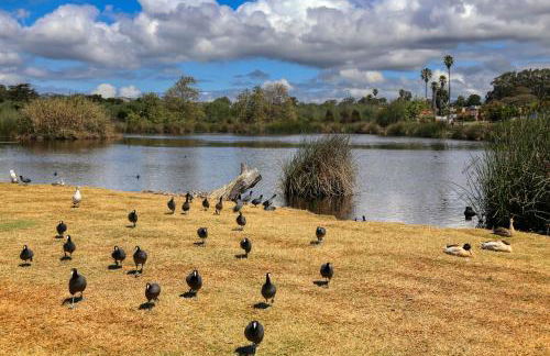 Pacific Plaza #608 - Oceano Getaway - 1BdrmUp-K-QSofa - Foto 36