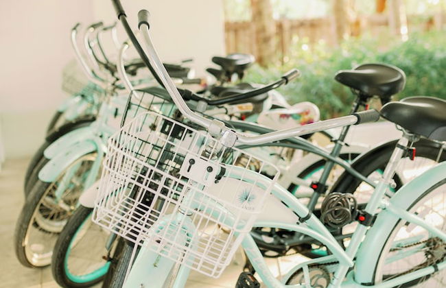 The Islands of Islamorada - Foto 49