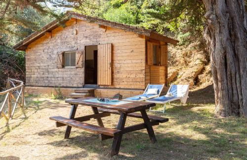 Azienda Agricola Club Le Cannelle - Foto 118