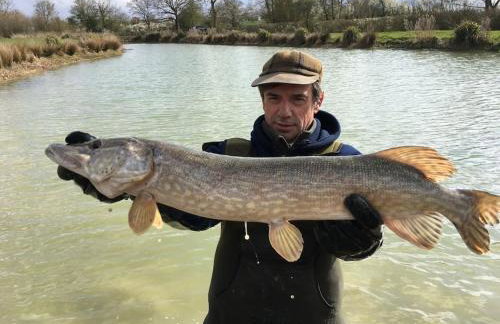 ROSE CHALET - Foto 13