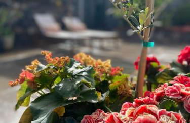 CHC Rochinha - Foto 24