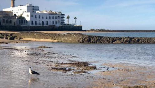 Apartamento DUPLEX CRUZ DEL MAR - Foto 4